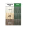 Wella Color Charm Paints GREEN Semi-Permanent Haircolor